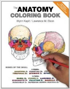 The Anatomy Coloring Book